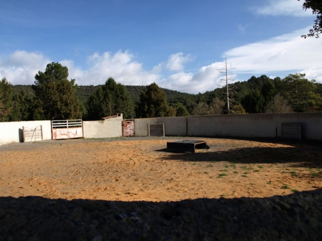 Distribucion de la plaza